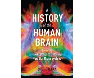 Bret Stetka A History of the Human Brain (Copertina rigida)