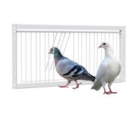 BREUAILY Piccione Porta d'ingresso Porta d'ingresso per Uccelli da Corsa Ferro Porta della Finestra Unidirezionale Porta Gabbia per Uccelli la Casa del Piccione 53 * 26cm