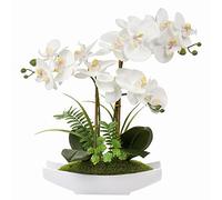 Breve orchidea bianca artificiale fiori in vaso di ceramica finto orchidea bianca in seta Phalaenopsis fiori arrangiamento orchidea artificiale per interni per casa