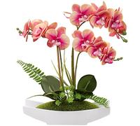 Breve orchidea rosa artificiale fiori in vaso di ceramica falsi orchidea rosa fiori di seta Phalaenopsis per decorazione domestica orchidea artificiale piante finte per soggiorno cucina tavolo