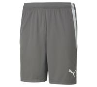 Breve Puma Team Liga Gris 3XL