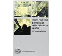 Breve storia della letteratura italiana. Vol. 2: L'Italia della Nazione.