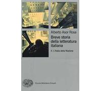 Breve storia della letteratura italiana. Vol. 2: L'Italia della Nazione.