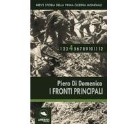 Breve storia della Prima Guerra Mondiale vol.4: I Fronti Principali