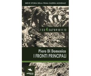 Breve storia della Prima Guerra Mondiale vol.4: I Fronti Principali
