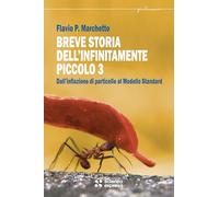 BREVE STORIA DELL'INFINITAMENTE PICCOLO. VOL. 3 - MARCHETTO FLAVIO P. - Scienza