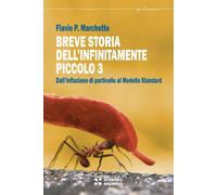 BREVE STORIA DELL'INFINITAMENTE PICCOLO. VOL. 3 - MARCHETTO FLAVIO P. - Scienza