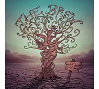 Brew - Shake The Tree