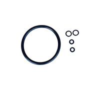 Brewzilla Guarnizione di ricambio Det per barile di birra KEG tipo Cornelius