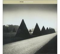 Brian - Bring Trouble