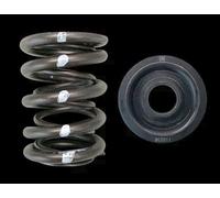 Brian Crower BC0010SHD Doppio Molle + Acciaio Fissaggi per Honda B16 B18 Vtec