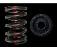 Brian Crower BC0030S Doppio Valvola Molle + Acciaio Fermi Honda H22 Vtec H22a1-4