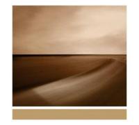 Brian Eno Small Craft On a Milk Sea (CD) Album