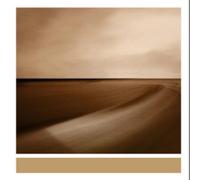 Brian Eno Small Craft On a Milk Sea (Vinyl LP) 12" Album