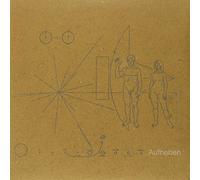 The Brian Jonestown Massacre Aufheben (Vinyl LP) 12" Album