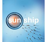 Brian Jonestown Mass - Sun Ship