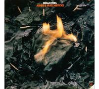 Brian Joseph Friel - Brian Joseph Friel: Ashes & Matchsticks LP