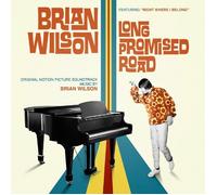 Brian Wilson Brian Wilson: Long Promised Road (Vinyl LP) 12" Album