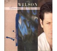 BRIAN WILSON - brian wilson LP