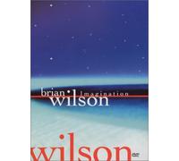 Brian Wilson - Imagination