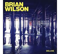 Brian Wilson - No Pier Pressure