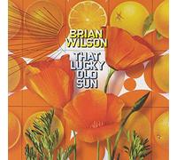Brian Wilson - That Lucky Old Sun