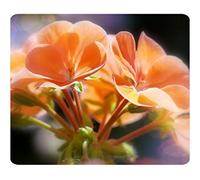 Brian114 Custom Orange Flowers Sunlight Anti Slip Comfort Gaming Mouse Pad - Durable Office Accessory Gift