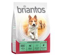 Prezzo prova! 1 kg Briantos senza cereali - Adult Agnello & Riso