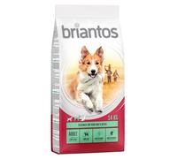 12 kg + 2 kg gratis! 14 kg Briantos - Adult Agnello & Riso