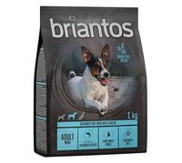 Briantos Adult Mini Salmone & Patate - senza cereali Crocchette cane - 1 kg