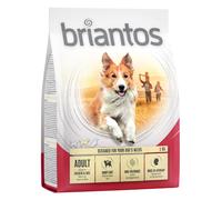Briantos Adult Pollo & Riso Crocchette per cane - 14 kg