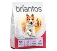 Briantos Adult Salmone & Riso Crocchette per cane - Set %: 4 x 1 kg