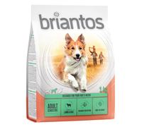 Briantos Adult Sensitive Agnello & Riso Crocchette per cane - Set %: 4 x 1 kg