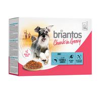 Briantos Chunks in Gravy 12 x 100 g Umido per cane - Salmone e Carote