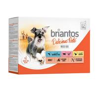 Briantos Delicious Paté 12 x 100 g Umido per cane - Mix (Pollo, Manzo, Salmone)