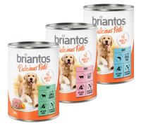 Briantos Delicious Paté Pacco misto Umido per cane - 6 x 400 g