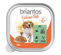 Briantos Delicious Paté 27 x 300 g Umido per cane - Agnello e carote