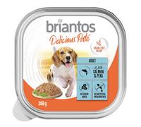 Briantos Delicious Paté 9 x 300 g Umido per cane - Pesce e piselli