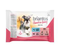 Briantos in buste 4 x 100 g Pacco misto Umido per cane - Chunks in Gravy (Salmone & Manzo in salsa)