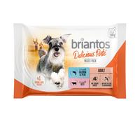 Briantos in buste 4 x 100 g Pacco misto Umido per cane - Delicious Paté (Salmone & Manzo in paté)