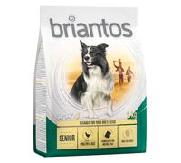 Prezzo prova! 1 kg Briantos senza cereali - Senior con Pollame e Riso