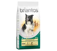 Briantos Senior con Pollame e Riso Crocchette per cane - 14 kg