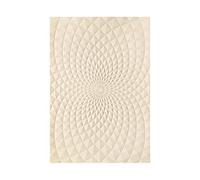 Briartw Cartella per goffratura 3D con geometria a spirale, 16 x 11,5 cm, in plastica trasparente, strumento per la creazione di biglietti, album fotografici fai da te, per biglietti fatti a mano e