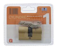 Bricard 1449 Cilindro Pratic 27 + 27 OTTONE, doppio ingresso, livello di sicurezza 1, 3 chiavi, garanzia 2 anni, resistenza alla corrosione