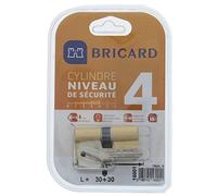 Bricard 16001 Cilindro Trial S 30 + 30 Ottone Giallo, Doppio Ingresso, Livello Di Sicurezza 4, Chiavi Reversibili, Resistenza Alla Rottura E Torsione, Al Trapano, Al Grimaldelli E Al Bumping