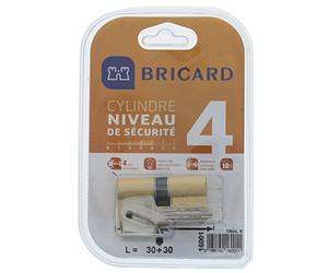 Bricard 16001 Cilindro Trial S 30 + 30 Ottone Giallo, Doppio Ingresso, Livello Di Sicurezza 4, Chiavi Reversibili, Resistenza Alla Rottura E Torsione, Al Trapano, Al Grimaldelli E Al Bumping