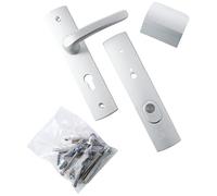 Bricard 9920071 - Set di maniglie schermate su piastra EMUST con cavalletto e alettone per porta d'ingresso (per cilindro europeo), colore: Argento