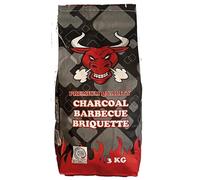 BRICCHETTE di Carbone per Barbecue Alto Potere Calorifero Indicate sia per