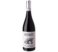Bricco Lagotto: Barbera Passito DOC - 2023