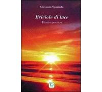 Briciole di luce. Diario poetico